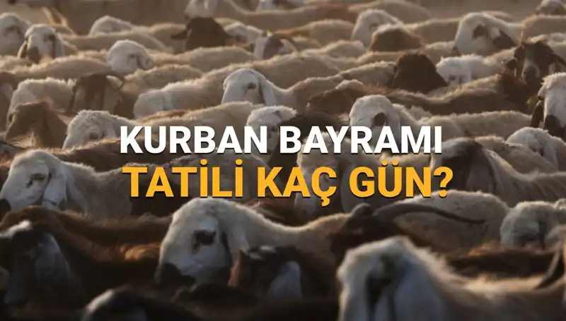 Kurban Bayramı 2025: Tatile Çıkmadan Önce Bilmeniz Gerekenler