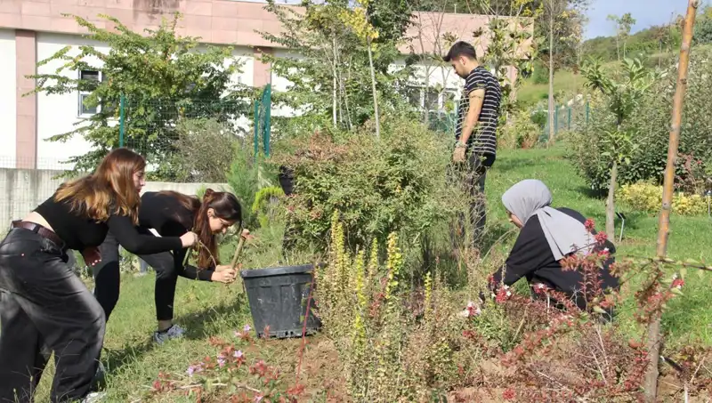 Düzce’nin Yetenekleri: Hayalleri Gerçeğe Dönüştüren Başarı Hikayesi