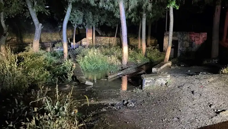 Manisa'da Parkta Gerçekleşen Şüpheli Ölüm Olayı Tüm Şehri Sarstı