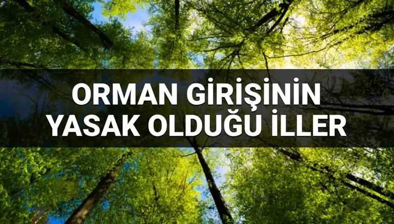 2025’te Ormana Girmek Yasaklanan İller: Detaylı Liste