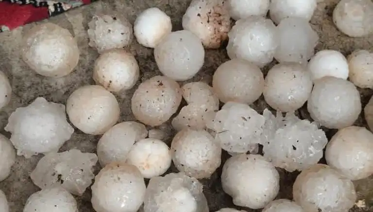 Şanlıurfa'da Kar Topu Büyüklüğünde Dolu Yağışı Şok Etkisi Yarattı