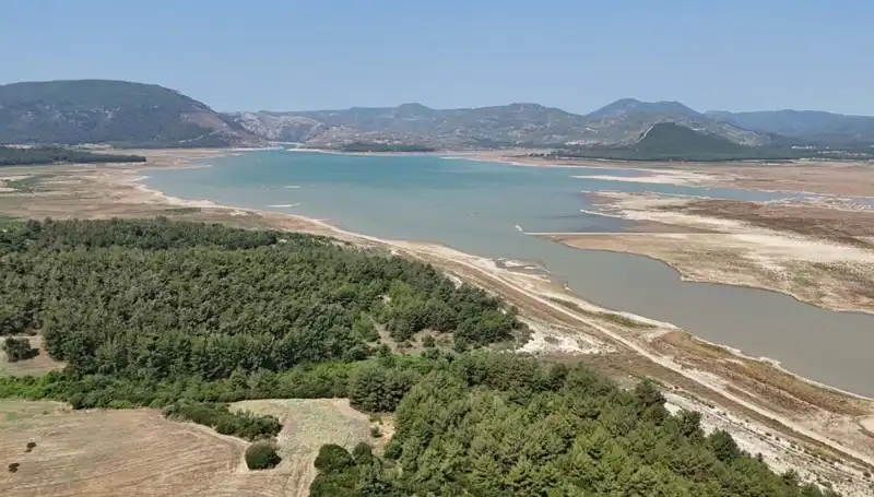 İzmir'de Tehlike Çanları: Kriz Kapıda, Ciddi Düşüşler Yaşanıyor