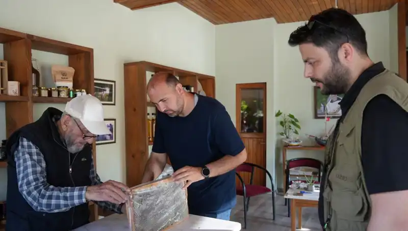 Hem Şifa Hem de Zehir: 1 Çay Kaşığının Önemi Nedir?