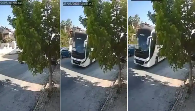 Yolda Yatan Köpeği Ezip Geçen Sürücü, Tepkilerle Karşılaştı!