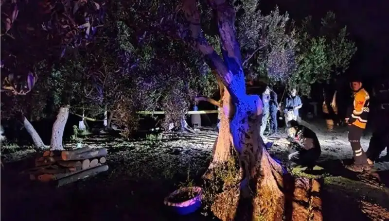 Çiftlikte Baltalı Vahşet Gerçekleri: Şok Edici Tutuklama Detayları
