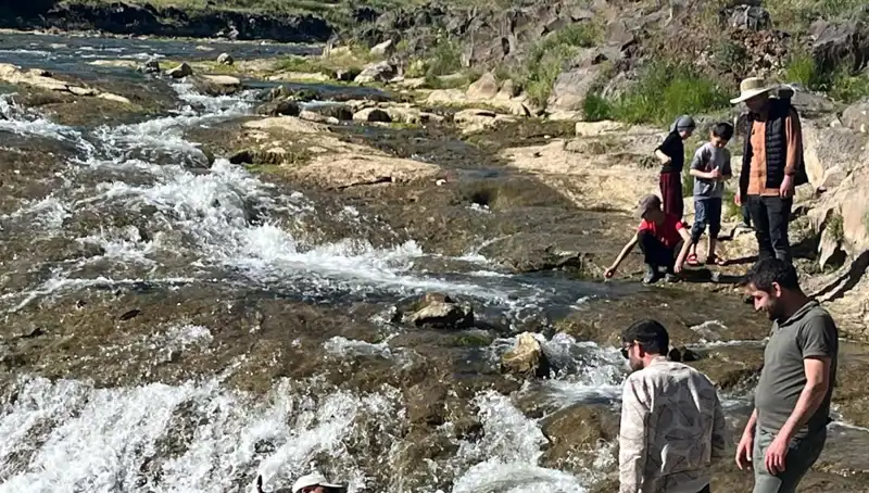 İnci Kefali Göçü: Büyüleyici Yolculuğun Ayrıcalığına Tanıklık Edin