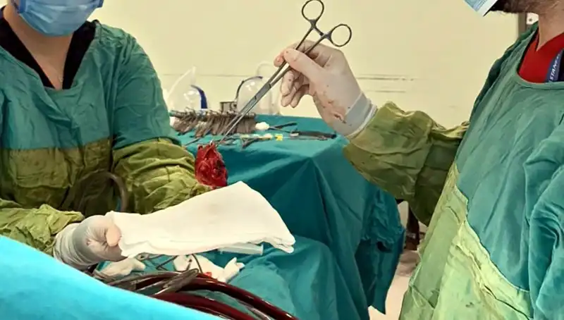 Kalp Kapağı Ameliyatında Mucize: 7 Saatlik Zorlu Süreç Başarıyla Tamamlandı