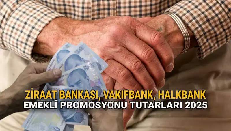 2025 yılına özel emekli promosyonları: Ziraat, Vakıfbank, Halkbank fırsatları!