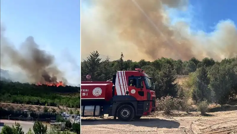 Gebze'de Korkutan Orman Yangını: İlçenin Kaderini Etkileyecek Mi?