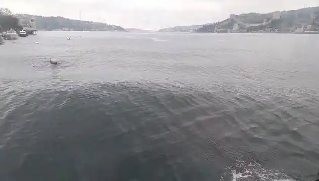 İstanbul Boğazı’nda Dalgalar Yükseliyor: Doğanın Gücünü Hissetmek İçin Hazır mısınız?
