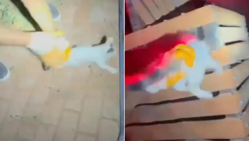 Gece Yarısı İtfaiyesi: Kurtarma Operasyonunda Tüyler Ürperten Anlar