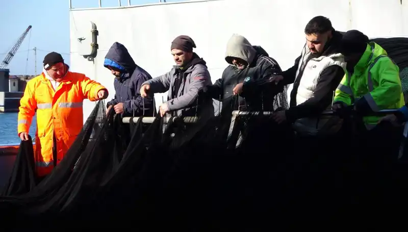 Denizlerde Hamsi Avı Sonlandı: Balıkçılar Erken Veda Etti