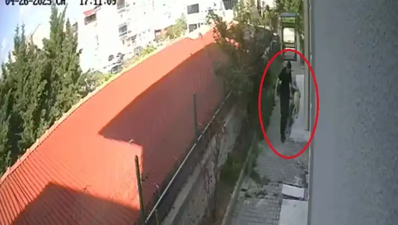 Veteriner Doktorun Şok Edici Eylemi: Sahiplendiği Köpekleri Parçaladı!
