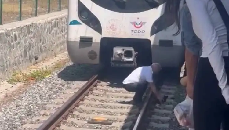 Marmaray'daki Kediyi Kurtaran Makinist: Hayvanseverlik Örneği