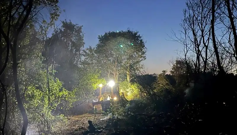 Edirne'deki Orman Yangınında Son Durum: Yangın Kontrol Altında