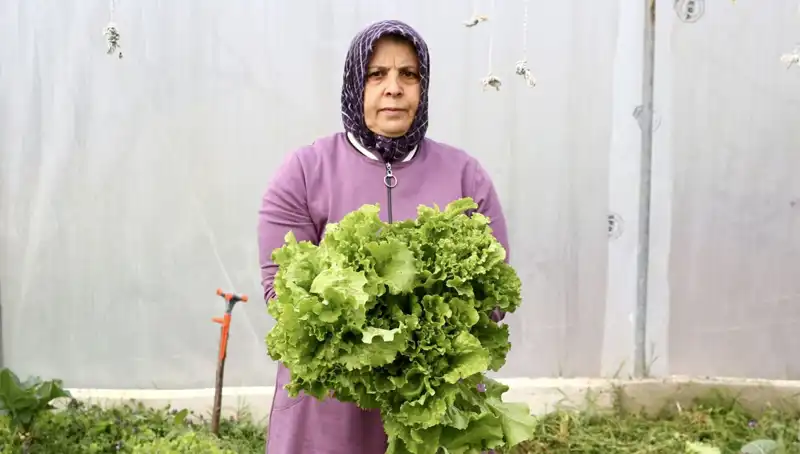 Emekli Olduktan Sonra Hayalini Gerçekleştiren Kadın Girişimci