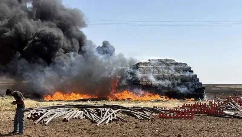 Mardin'de Anız Yangınları: Tarlalarda Büyüyen Tehlike