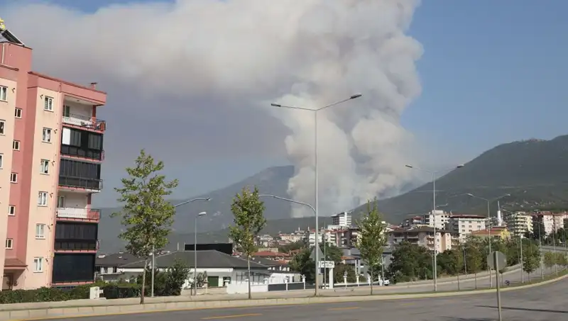 Denizli'de Orman Yangını: Şüpheli Gözaltına Alındı, Detaylar Söyleniyor!